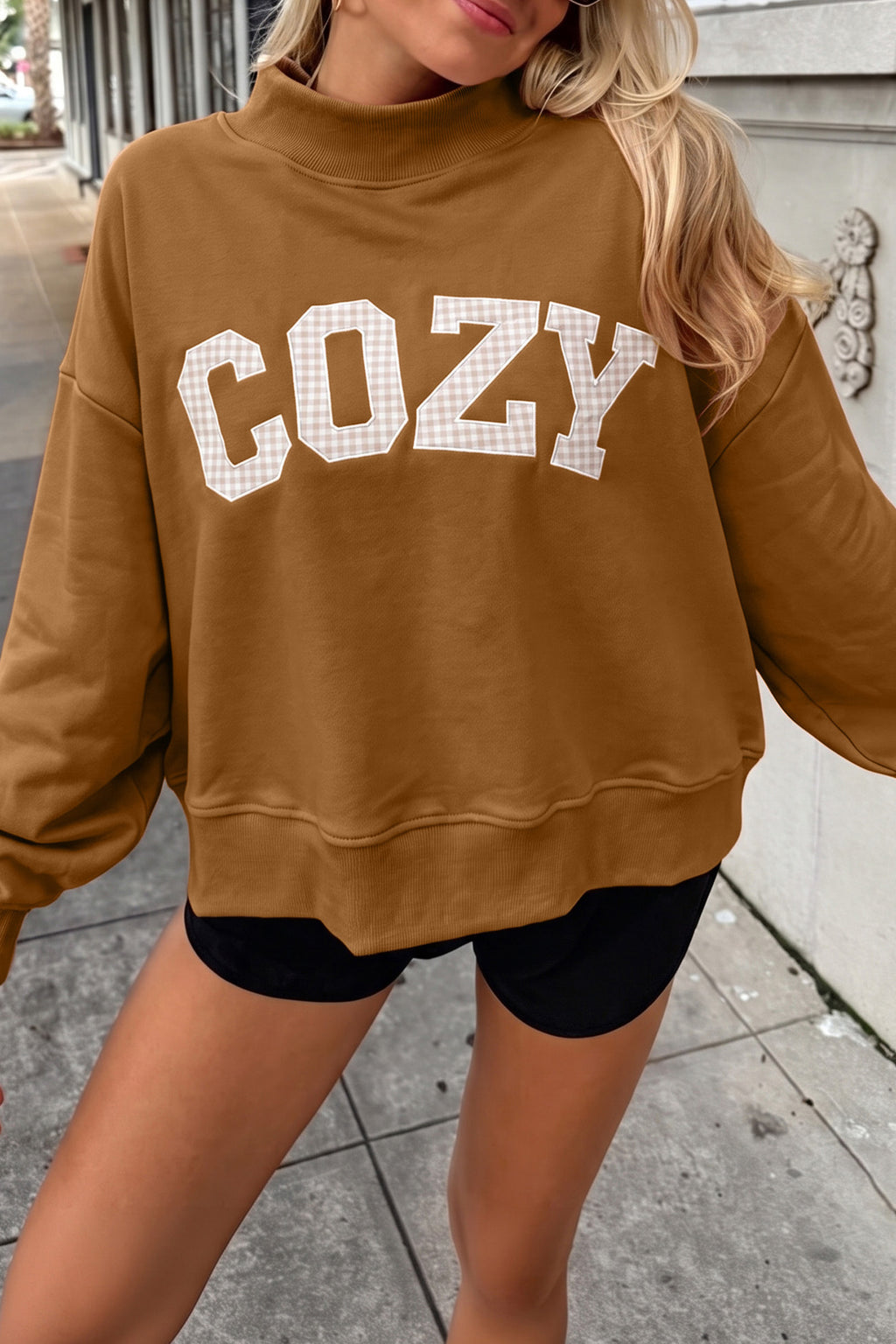 Chestnu COZY Embroidered Long Sleeve Stand Neck Shift Pullover Sweatshirt